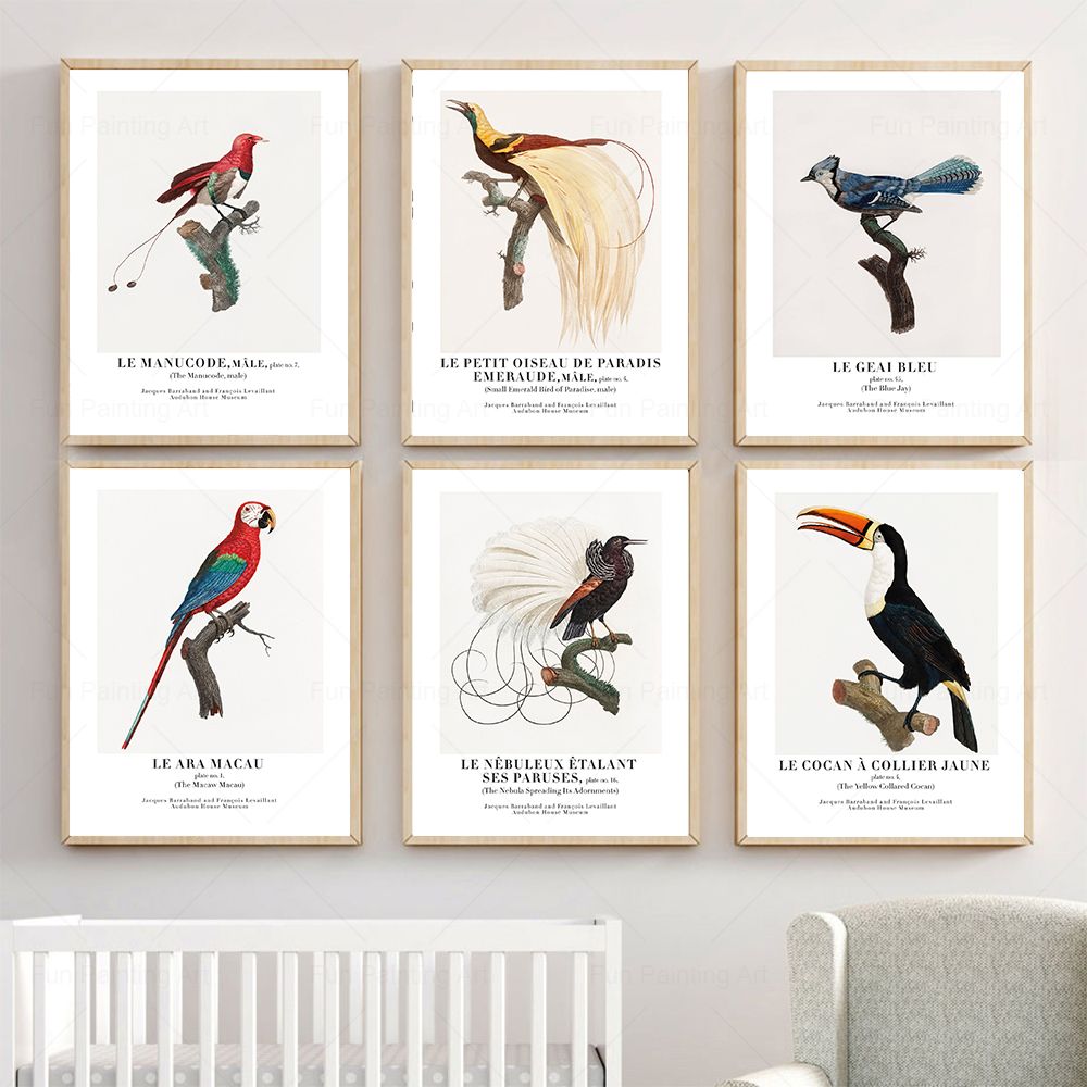 Vintage Paradise Bird Wall Art - огляд і ціна Furniture Paradise & Hardware Ghaziabad Photos