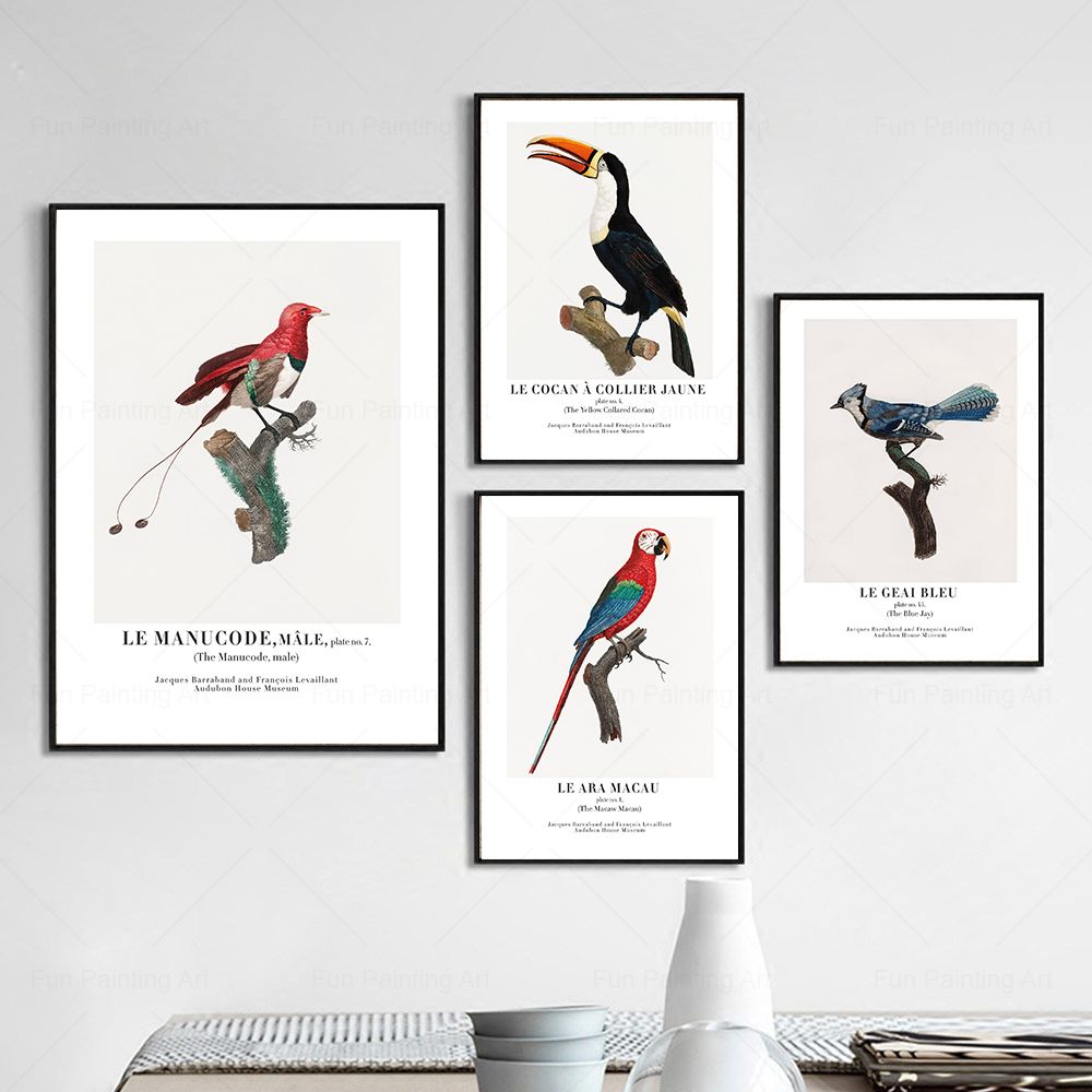 Vintage Paradise Bird Wall Art - огляд і ціна Furniture Paradise & Hardware Ghaziabad Photos