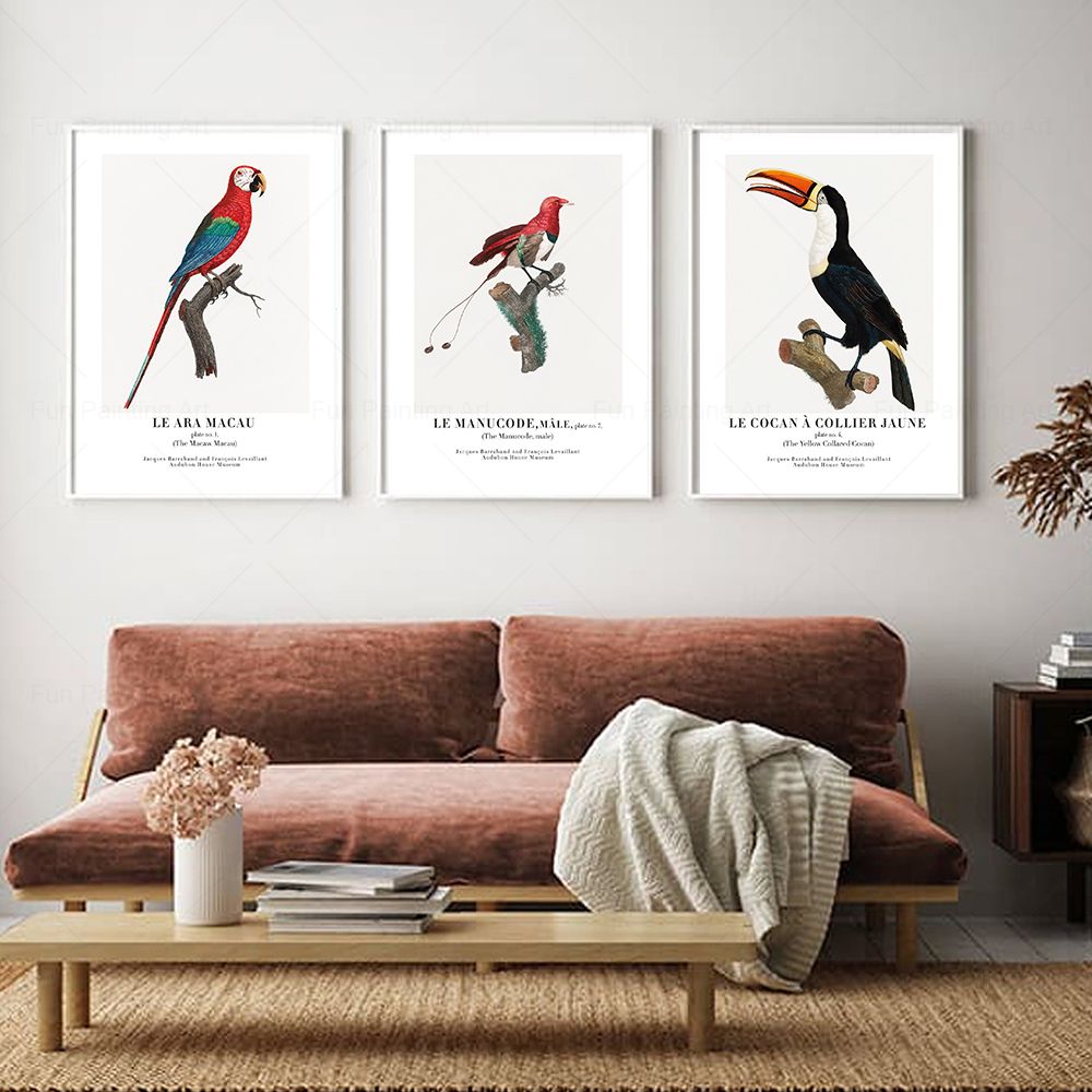 Vintage Paradise Bird Wall Art - огляд і ціна Furniture Paradise & Hardware Ghaziabad Photos