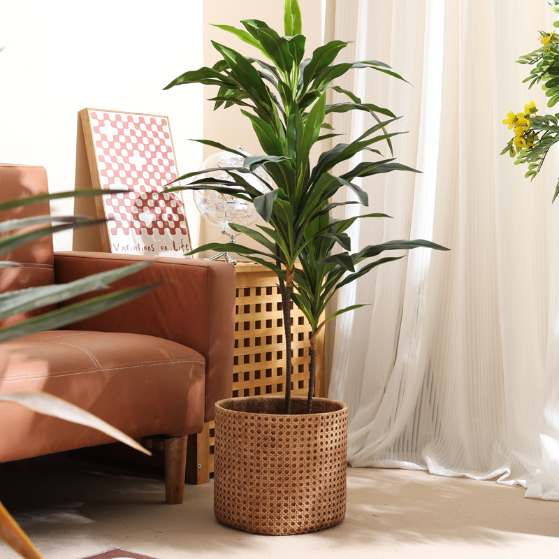 Furniture for small-sized apar - огляд і ціна Furniture Paradise & Hardware Ghaziabad Photos